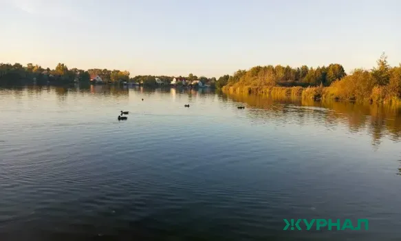 Проверка экологии реки Кубань выявила нарушения в Краснодаре