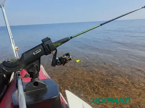 Трое мужчин задержаны за незаконную ловлю осетра в Азовском море