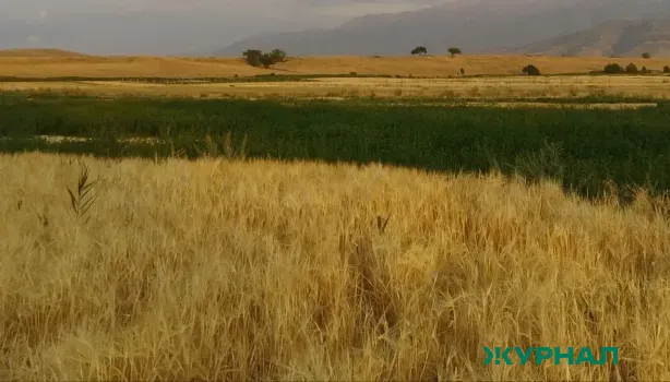 В Краснодарском крае введены штрафы за истощение сельхозземель