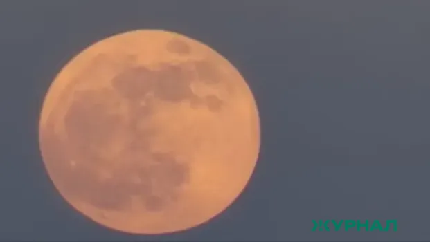 Розовая Луна появится в небе над Кубанью 2 апреля: причины названия и особенности наблюдения