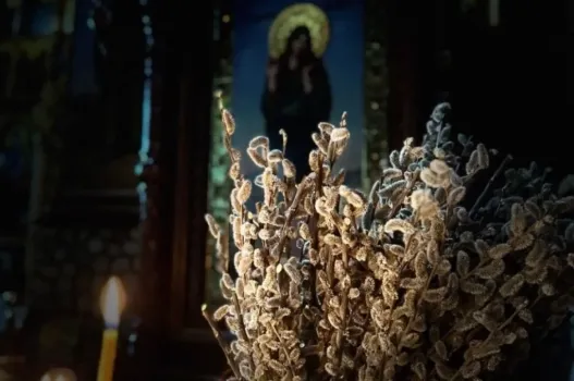 Губернатор Кубани поздравил верующих с Вербным воскресеньем