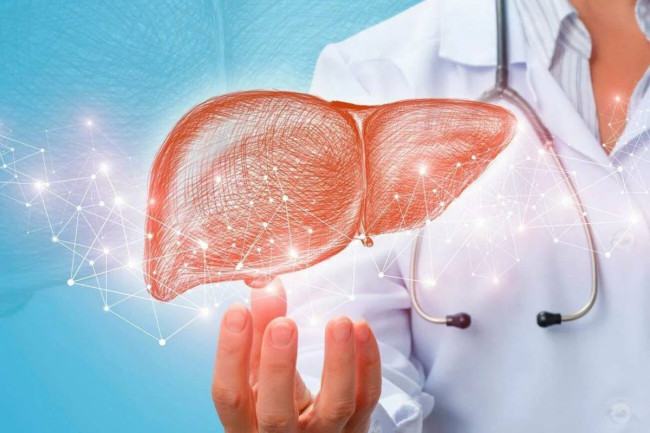 Черника: как 150 граммов в день снизят уровень холестерина и улучшат здоровье сердца