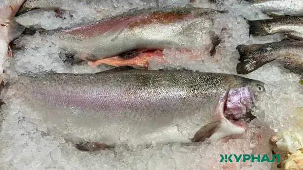 В Новороссийске в гараже обнаружили 700 кг рыбы без маркировки