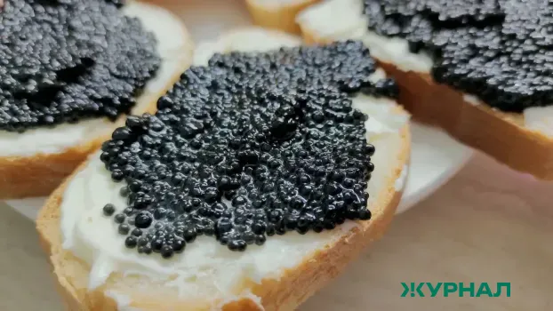 Житель Кубани задержан с незаконно выловленной рыбой и черной икрой