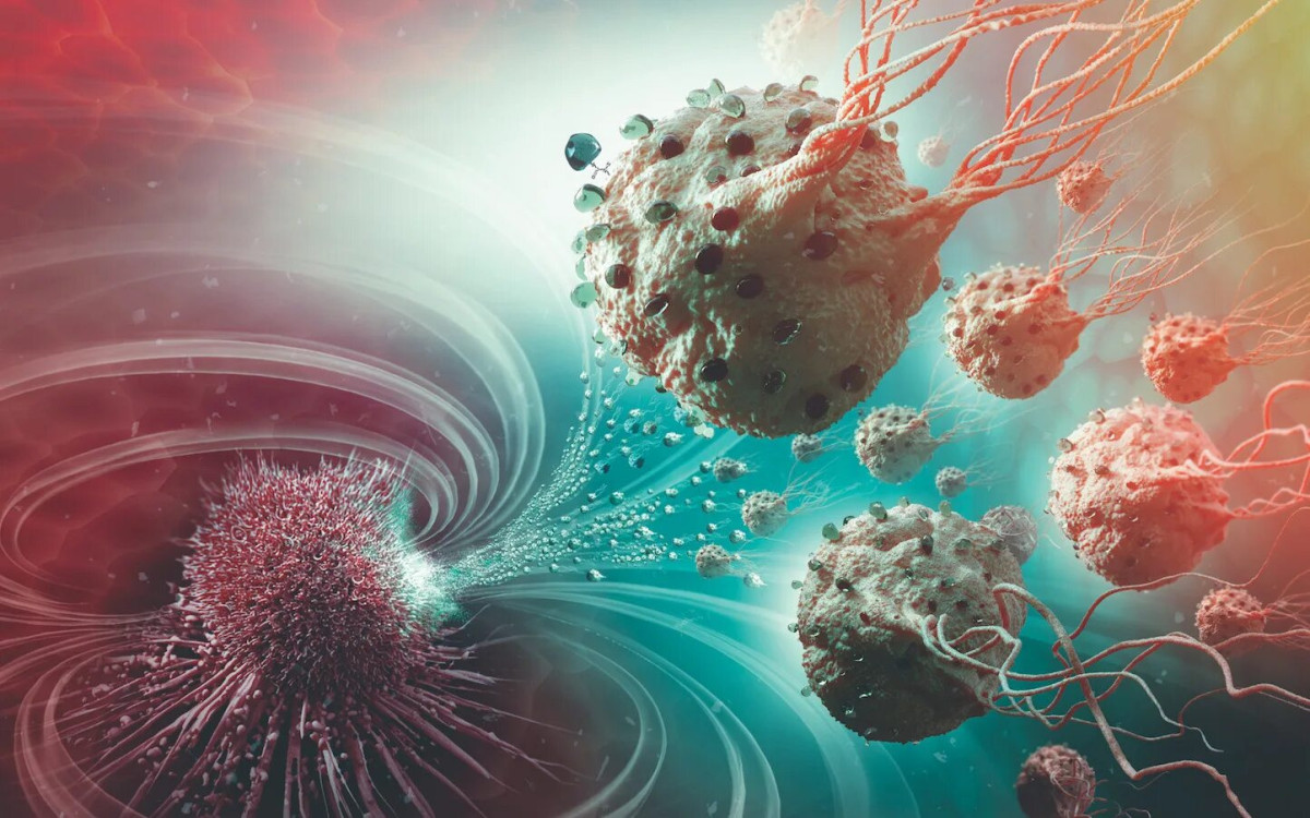 Ягоды черноплодной рябины: как защитить организм от онкологии и токсинов