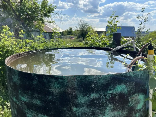 Как предотвратить цветение воды в бочке с помощью марганцовки