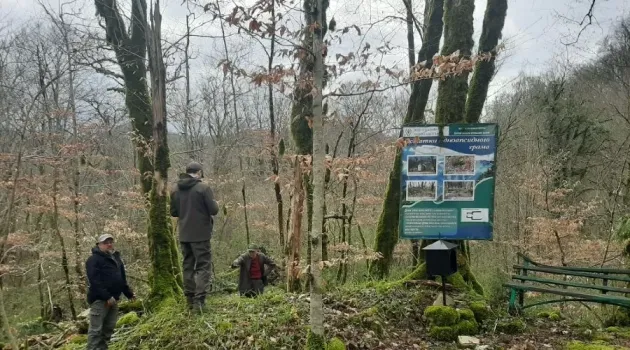 Подземный храм IX века в Галицыно откроют для туристов