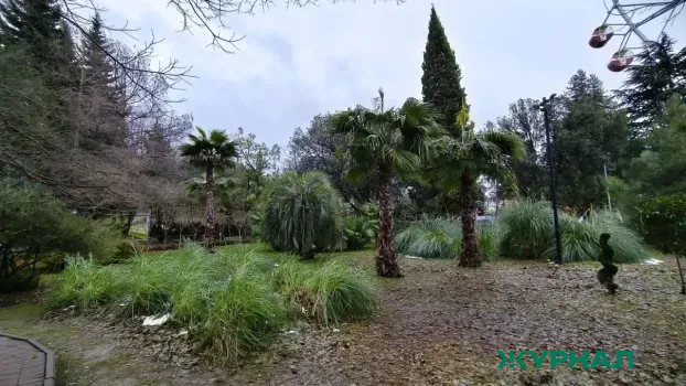 Где приятно провести время весной в Краснодарском крае: гид по паркам и скверам Кубани