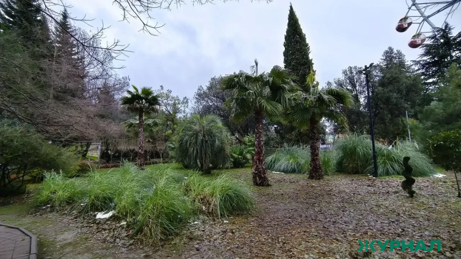 Где приятно провести время весной в Краснодарском крае: гид по паркам и скверам Кубани