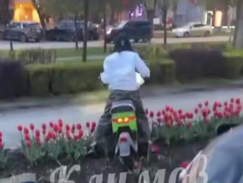 Девушка на электромопеде повредила клумбы в центре Краснодара