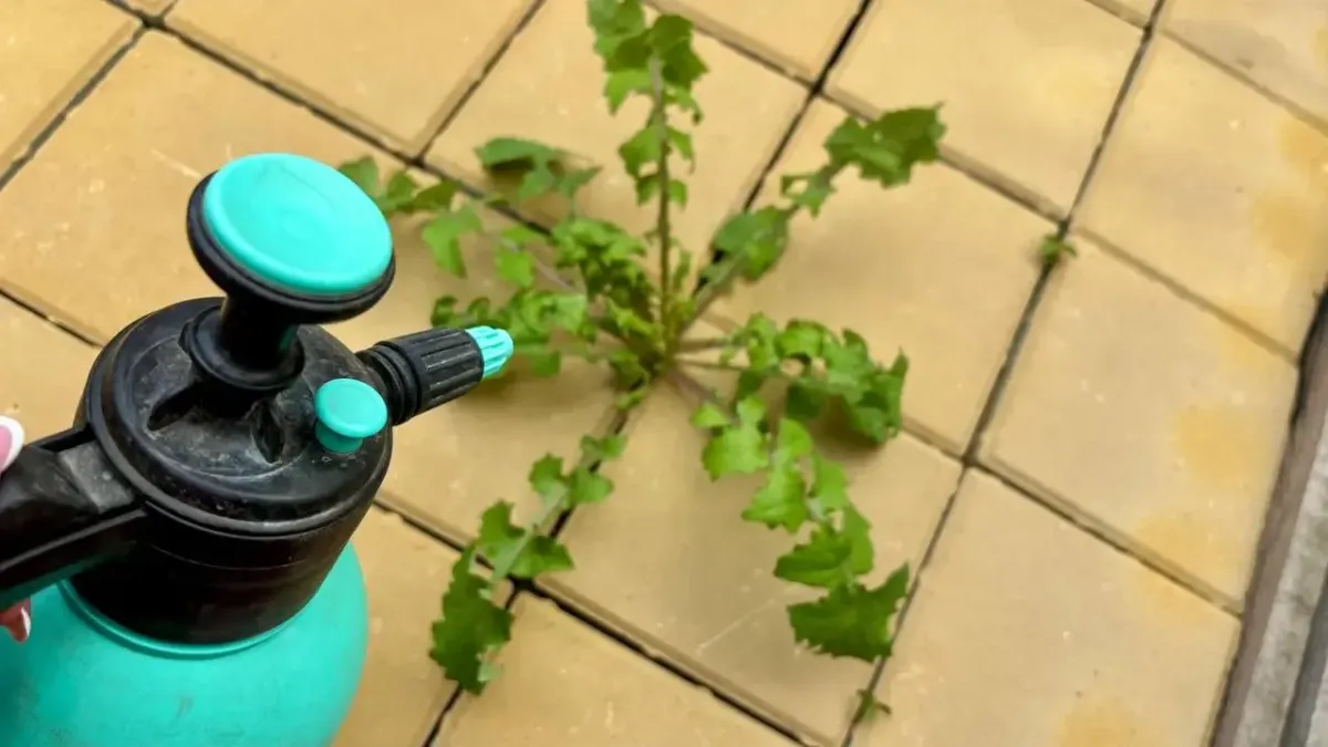 Эффективный раствор для борьбы с сорняками: просто и безопасно