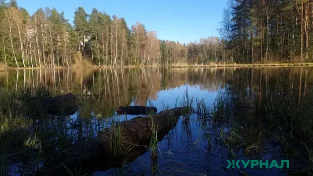 Волонтеров приглашают на уборку Верхнего Покровского озера в Краснодаре