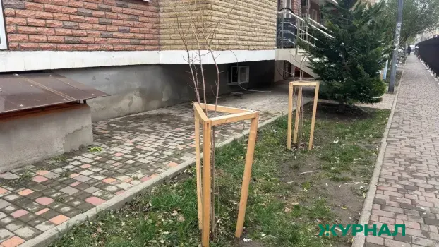 В Краснодаре высадку новых деревьев завершат до 15 мая