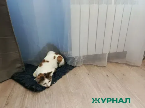 Краснодарцы остаются без отопления на фоне холодного фронта