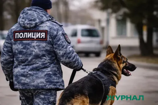 Полицейские нашли коноплю у жителя Брюховецкого района Кубани