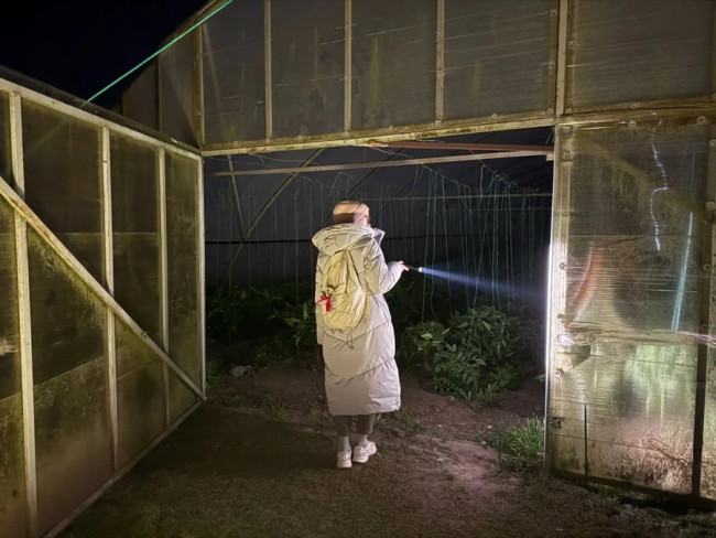 В Темрюкском районе продолжаются поиски пропавшей 11-летней девочки