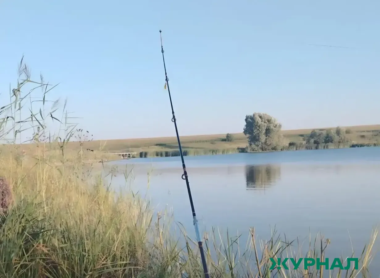 Массовая гибель черепах и рыб зафиксирована на Верхнем Покровском озере в Краснодаре