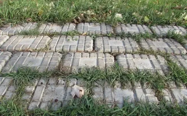Избавьтесь от сорняков на садовой дорожке с помощью простого раствора из уксуса и соли