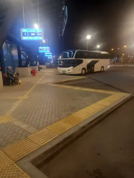 Новый автобусный маршрут свяжет Москву и Сочи через несколько городов