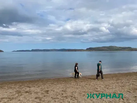 Загрязнение берега у мыса Кадош в Туапсе: активисты фиксируют нефтяное пятно