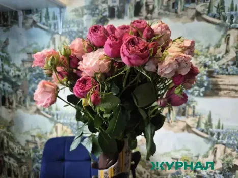 В Краснодарском крае пресечён ввоз заражённых срезанных роз
