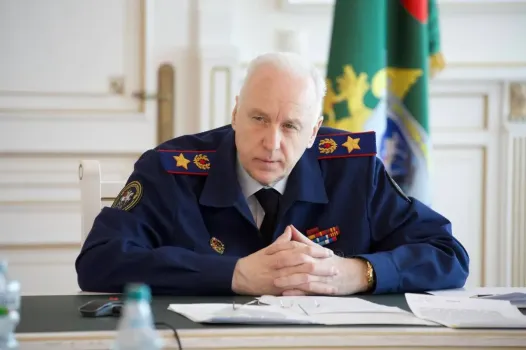 Бастрыкин потребовал отчёт о расследовании гибели матери и сына в Краснодарском крае