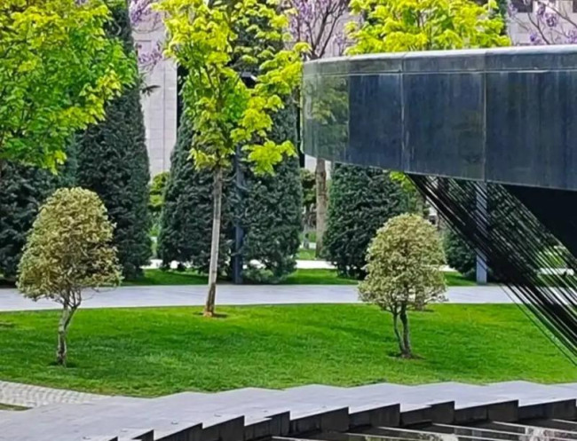 Фонтан-водопад &laquo;Инфинити&raquo; в парке Галицкого временно не работает из-за работ с теплицами