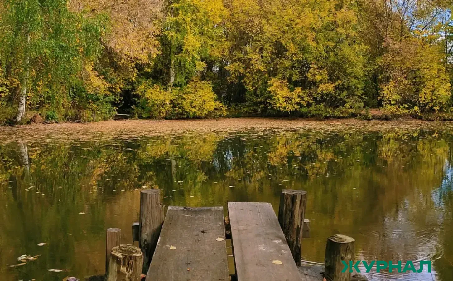 Запрет на купание в водоёмах Краснодара остаётся в силе