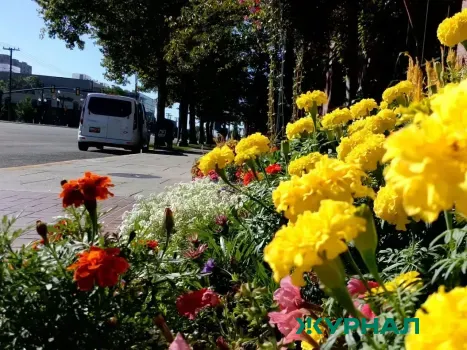 Губернатор Кондратьев обсудит подготовку к летнему сезону в Геленджике